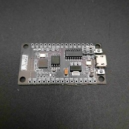 Scheda Wemos Nodemcu Lua...